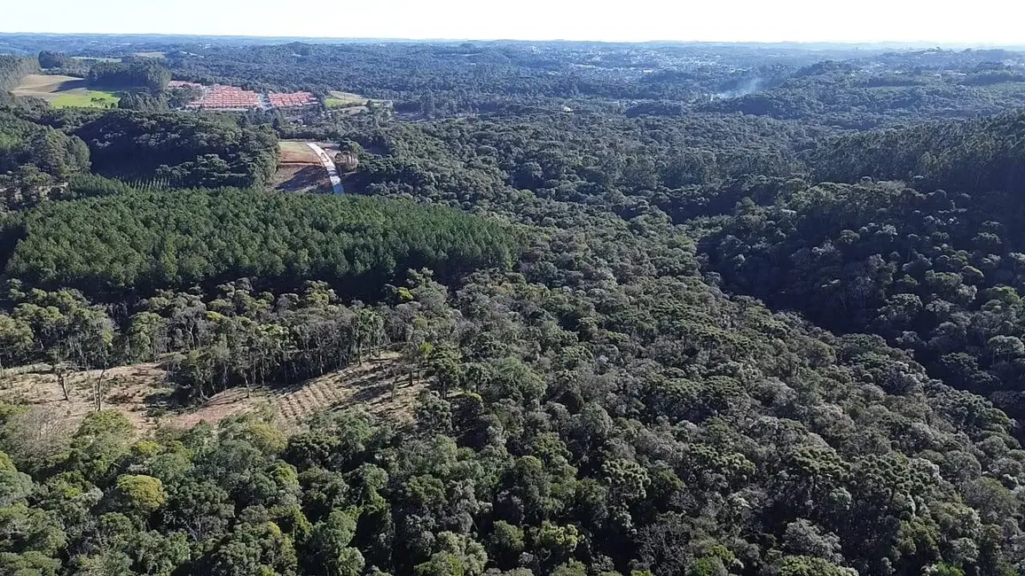 Terreno / Lote à venda, 145200m2 em Centenário, Sao Bento Do Sul - SC - imagem 6 Foto 6 de Terreno / Lote à venda, 145200m2 em Centenário, Sao Bento Do Sul - SC