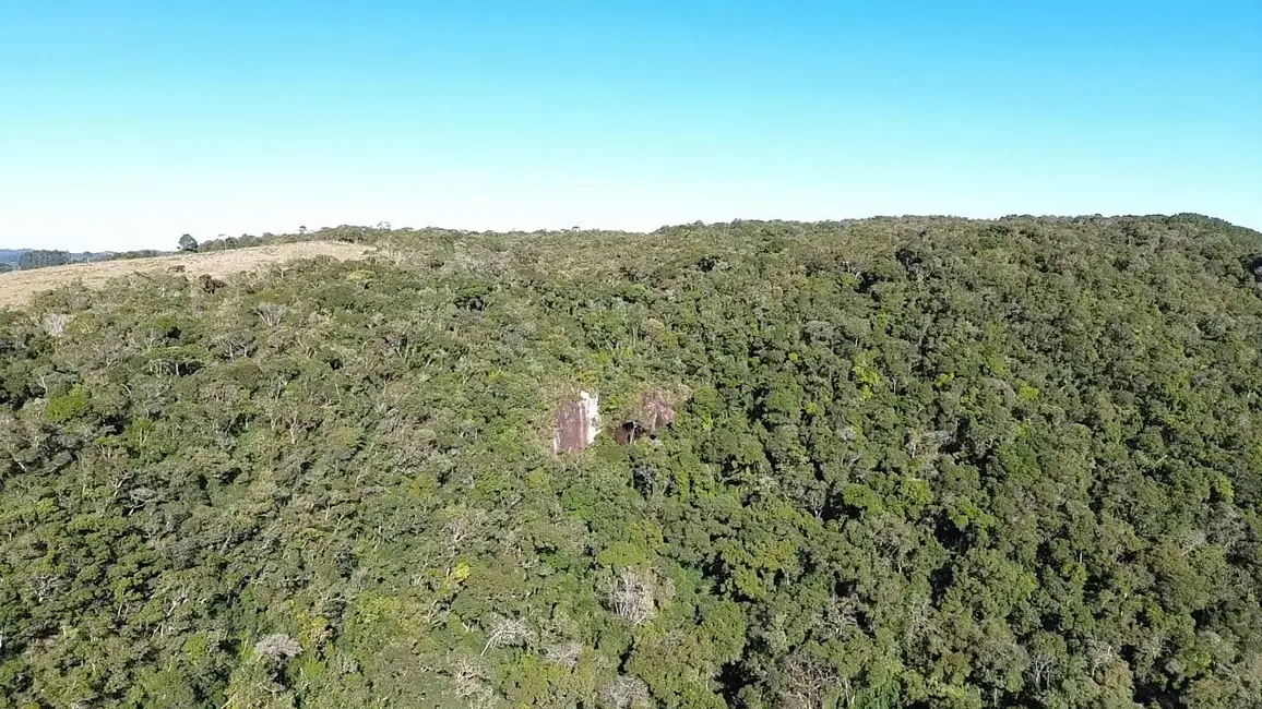 Terreno / Lote à venda, 145200m2 em Centenário, Sao Bento Do Sul - SC - imagem 2 Foto 2 de Terreno / Lote à venda, 145200m2 em Centenário, Sao Bento Do Sul - SC
