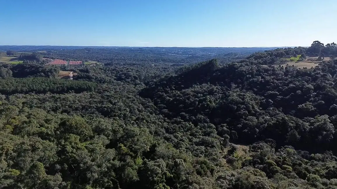 Terreno / Lote à venda, 145200m2 em Centenário, Sao Bento Do Sul - SC - imagem 7 Foto 7 de Terreno / Lote à venda, 145200m2 em Centenário, Sao Bento Do Sul - SC