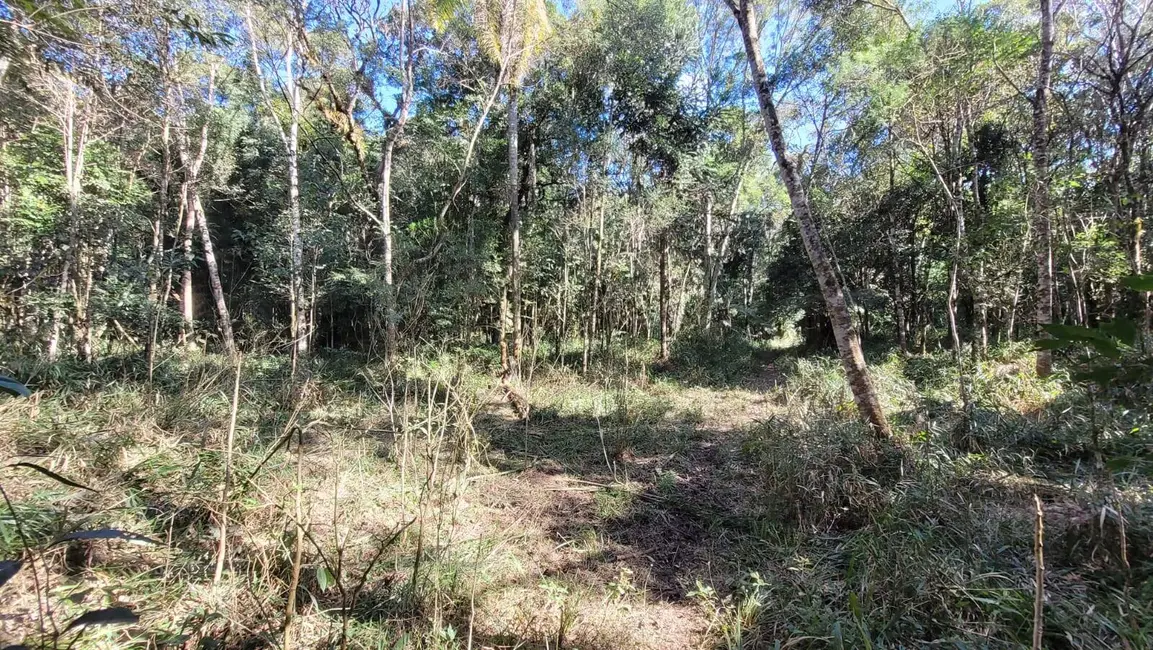 Terreno / Lote à venda, 145200m2 em Centenário, Sao Bento Do Sul - SC - imagem 8 Foto 8 de Terreno / Lote à venda, 145200m2 em Centenário, Sao Bento Do Sul - SC