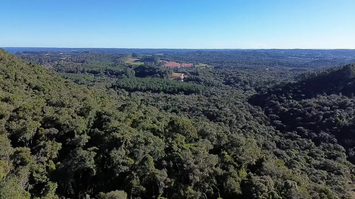 Terreno / Lote à venda, 145200m2 em Centenário, Sao Bento Do Sul - SC - imagem 5 Foto 5 de Terreno / Lote à venda, 145200m2 em Centenário, Sao Bento Do Sul - SC