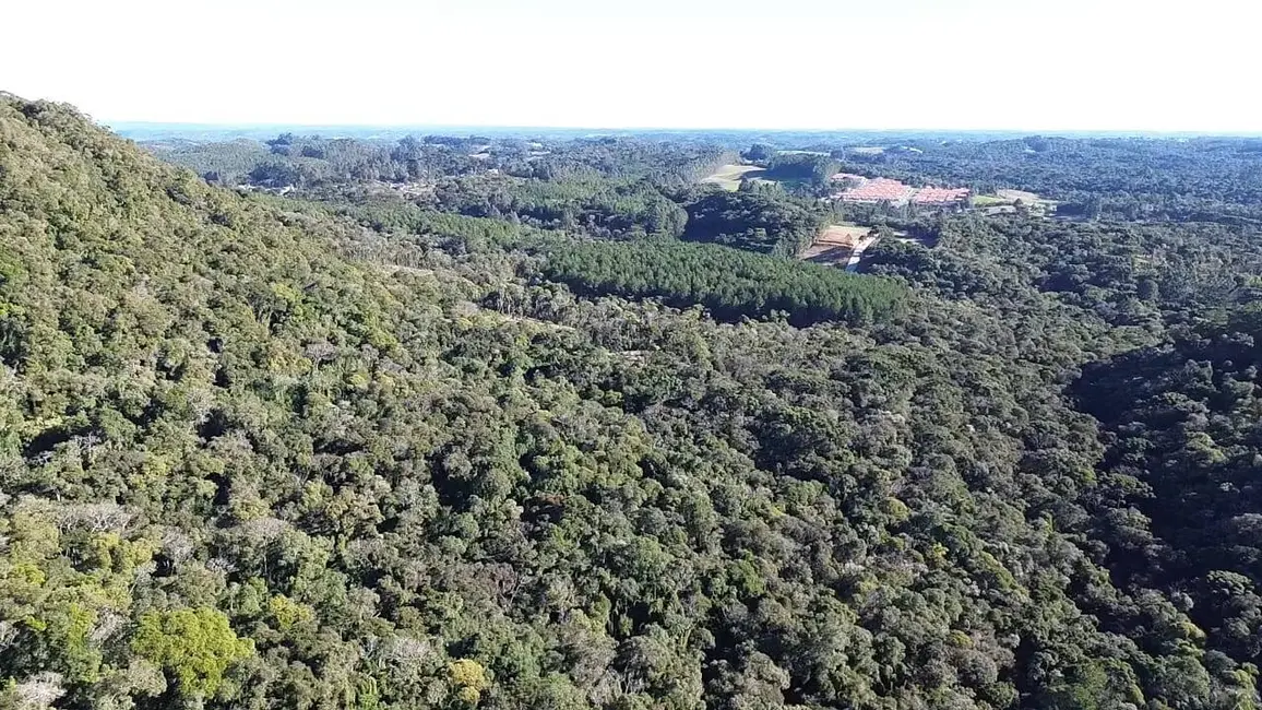 Terreno / Lote à venda, 145200m2 em Centenário, Sao Bento Do Sul - SC - imagem 4 Foto 4 de Terreno / Lote à venda, 145200m2 em Centenário, Sao Bento Do Sul - SC