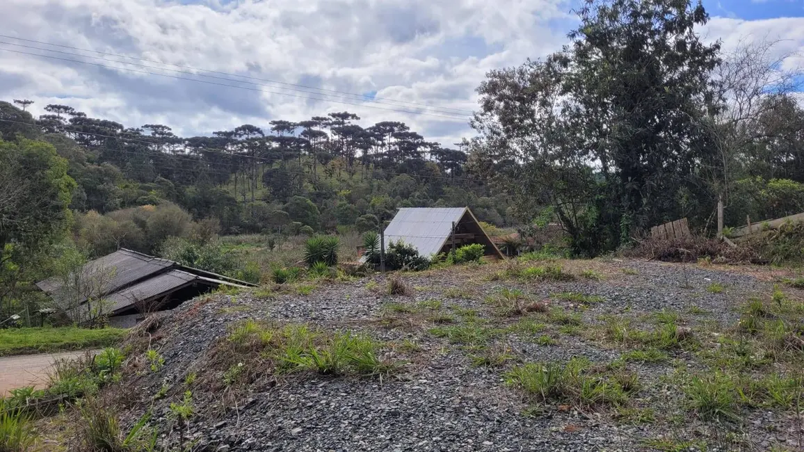 Foto 6 de Terreno / Lote à venda, 250m2 em Serra Alta, Sao Bento Do Sul - SC