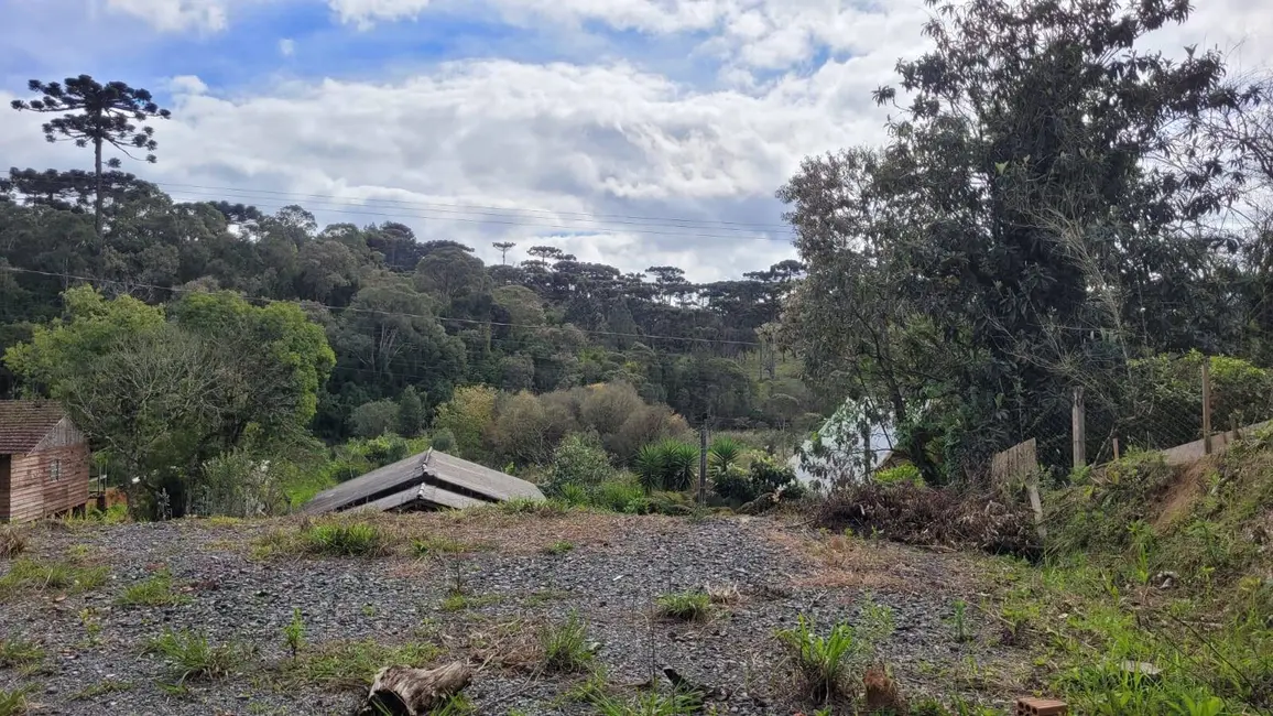 Foto 4 de Terreno / Lote à venda, 250m2 em Serra Alta, Sao Bento Do Sul - SC