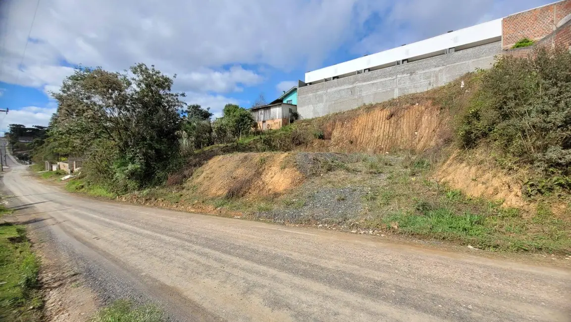Foto 3 de Terreno / Lote à venda, 250m2 em Serra Alta, Sao Bento Do Sul - SC