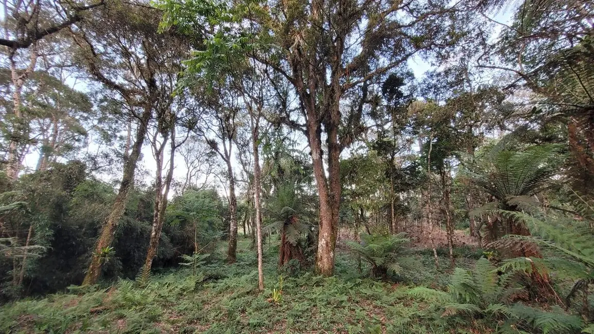 Foto 8 de Terreno / Lote à venda, 2000m2 em Centenário, Sao Bento Do Sul - SC