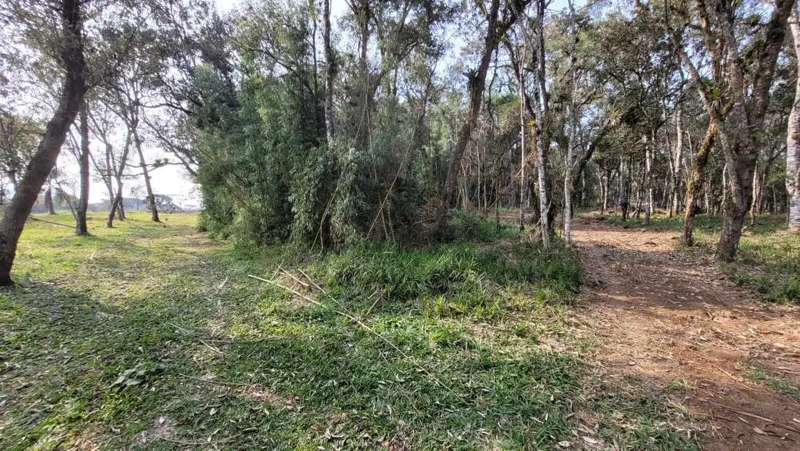 Foto 2 de Terreno / Lote à venda, 2000m2 em Centenário, Sao Bento Do Sul - SC