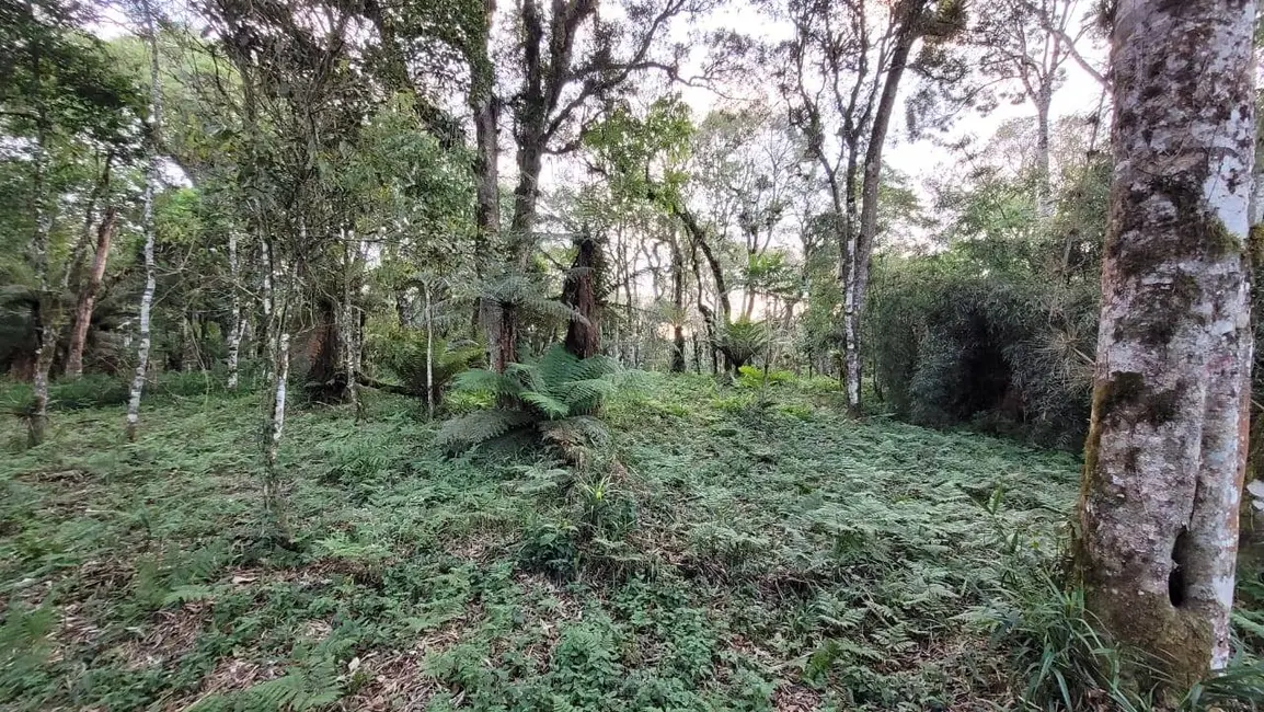 Foto 7 de Terreno / Lote à venda, 2000m2 em Centenário, Sao Bento Do Sul - SC