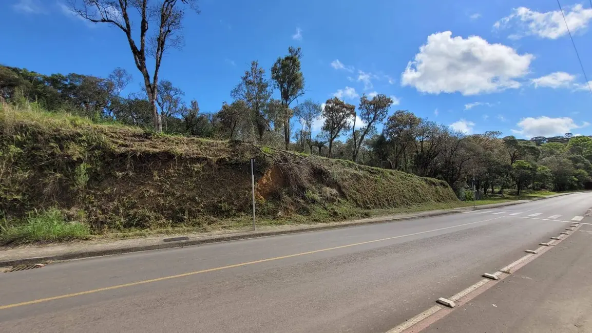 Terreno / Lote à venda, 540m2 em Centenário, Sao Bento Do Sul - SC - imagem 3 Foto 3 de Terreno / Lote à venda, 540m2 em Centenário, Sao Bento Do Sul - SC