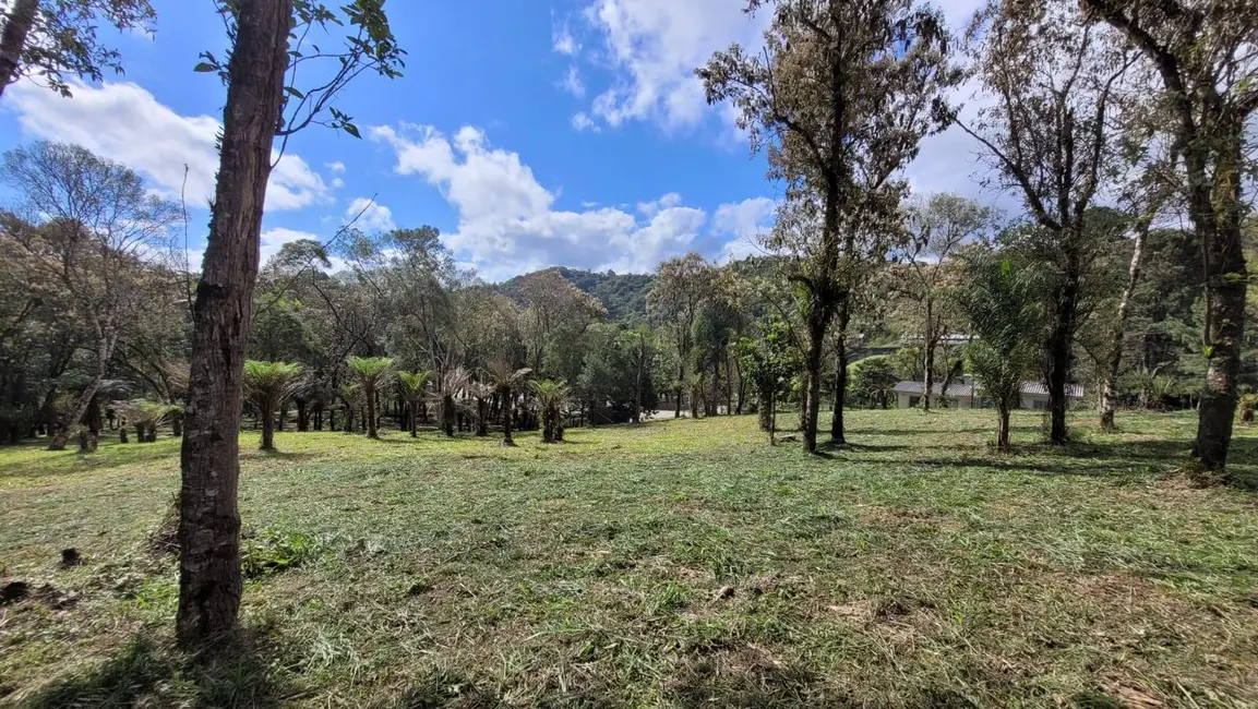Terreno / Lote à venda, 540m2 em Centenário, Sao Bento Do Sul - SC - imagem 5 Foto 5 de Terreno / Lote à venda, 540m2 em Centenário, Sao Bento Do Sul - SC