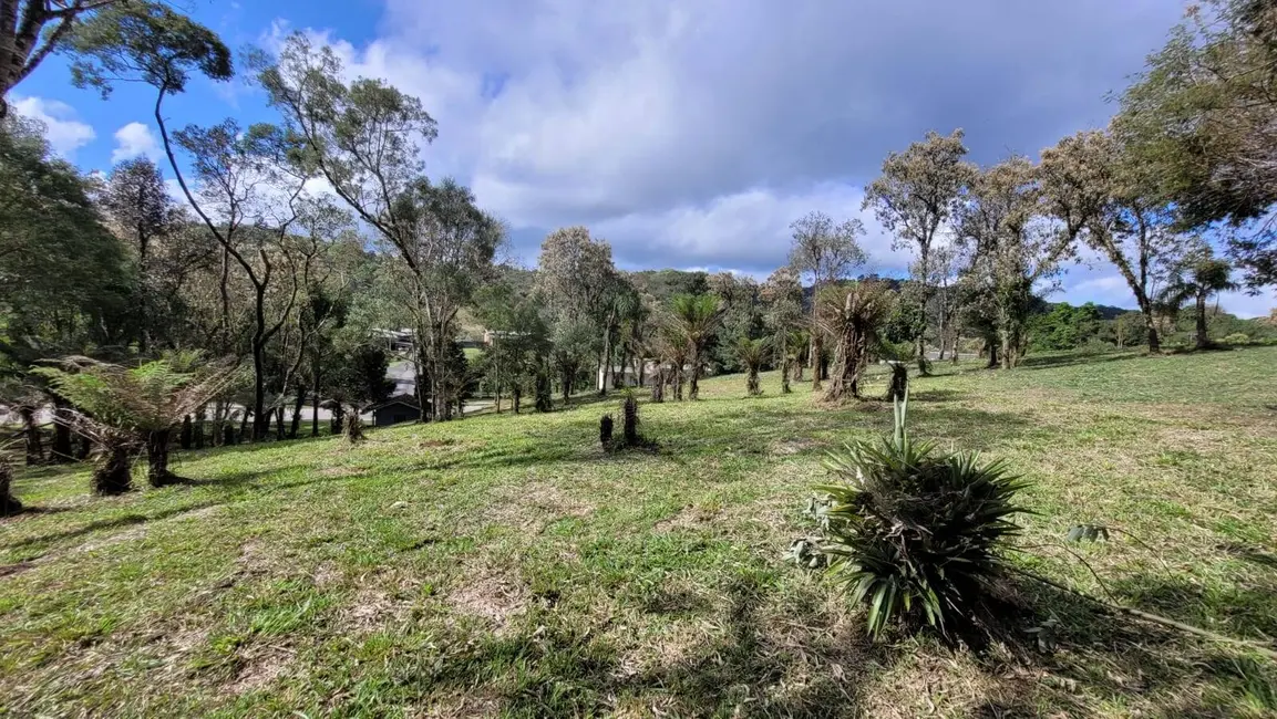 Terreno / Lote à venda, 540m2 em Centenário, Sao Bento Do Sul - SC - imagem 4 Foto 4 de Terreno / Lote à venda, 540m2 em Centenário, Sao Bento Do Sul - SC