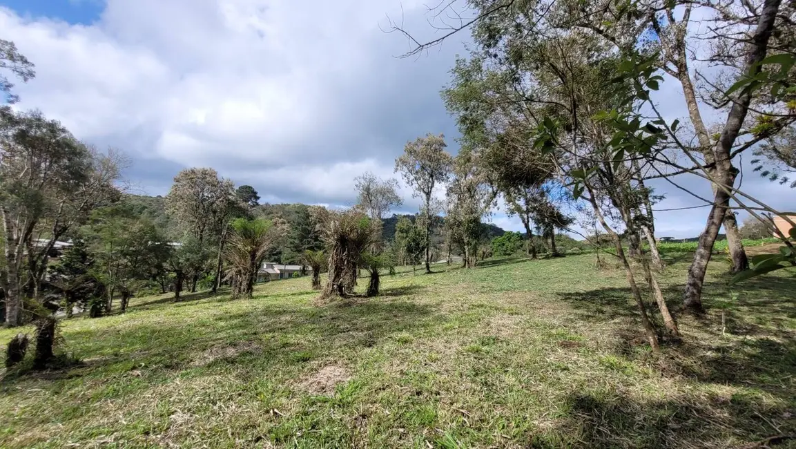 Foto 7 de Terreno / Lote à venda, 1080m2 em Centenário, Sao Bento Do Sul - SC
