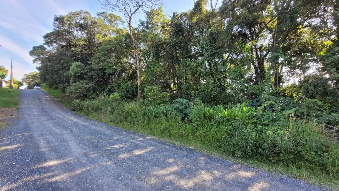Foto 3 de Terreno / Lote à venda, 925m2 em Serra Alta, Sao Bento Do Sul - SC