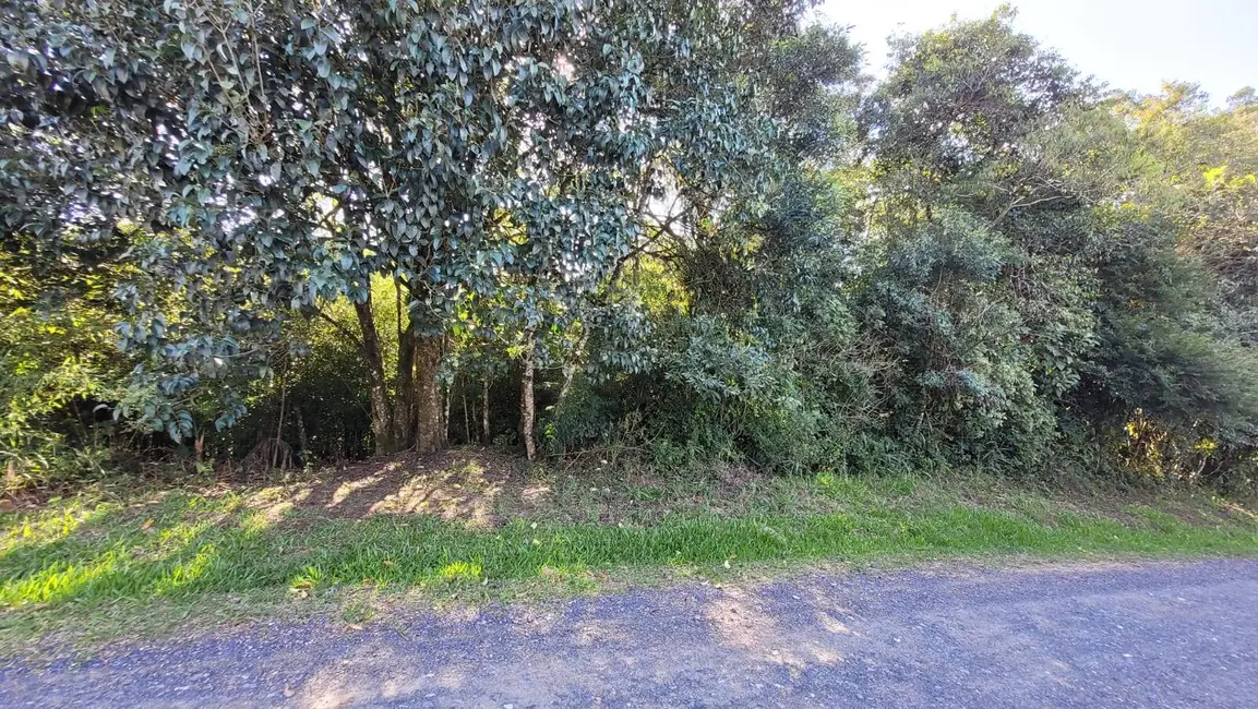 Foto 2 de Terreno / Lote à venda, 925m2 em Serra Alta, Sao Bento Do Sul - SC