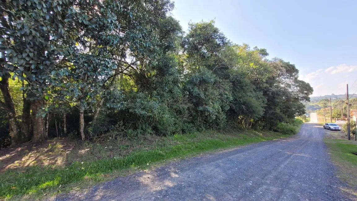 Foto 1 de Terreno / Lote à venda, 925m2 em Serra Alta, Sao Bento Do Sul - SC
