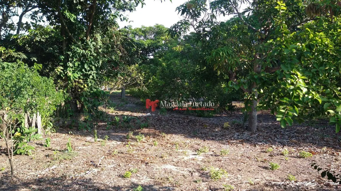 Terreno / Lote à venda, 3800m2 em Cabo Frio - RJ - imagem 6 Foto 6 de Terreno / Lote à venda, 3800m2 em Cabo Frio - RJ