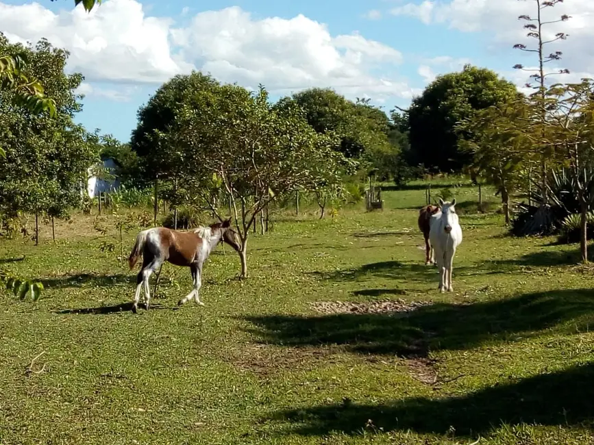 Foto 6 de Terreno / Lote à venda, 6000m2 em Cabo Frio - RJ
