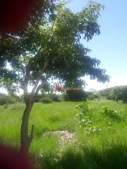 Terreno / Lote à venda, 600m2 em Cabo Frio - RJ - imagem 3 Foto 3 de Terreno / Lote à venda, 600m2 em Cabo Frio - RJ