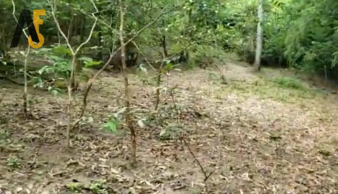 Foto 6 de Terreno / Lote à venda, 1000m2 em Rio De Janeiro - RJ