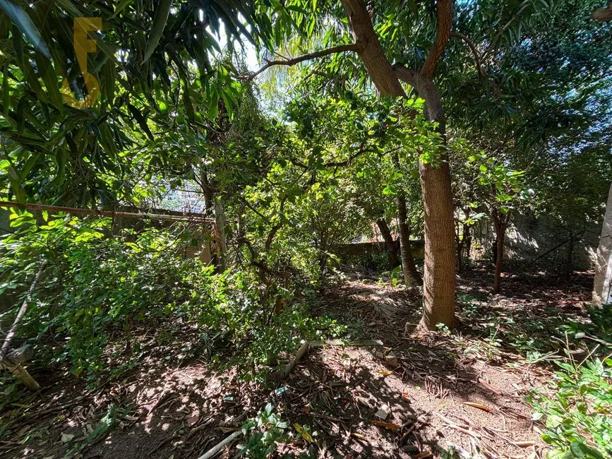 Terreno / Lote à venda, 375m2 em Taquara, Rio De Janeiro - RJ - imagem 9 Foto 9 de Terreno / Lote à venda, 375m2 em Taquara, Rio De Janeiro - RJ