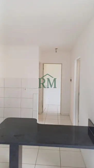 Apartamento com 2 quartos à venda, 54m2 em Encruzilhada, Biguacu - SC - imagem 8 Foto 8 de Apartamento com 2 quartos à venda, 54m2 em Encruzilhada, Biguacu - SC