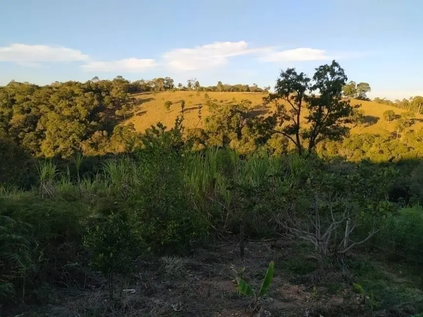 Foto 1 de Chácara com 1 quarto à venda, 10000m2 em Piedade, SP