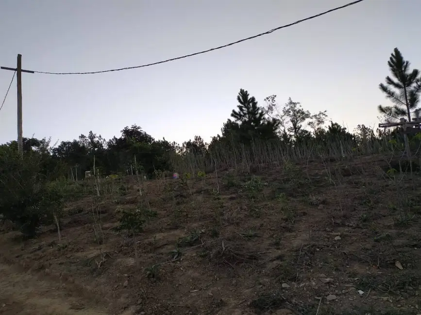 Foto 9 de Chácara com 1 quarto à venda, 10000m2 em Piedade - SP