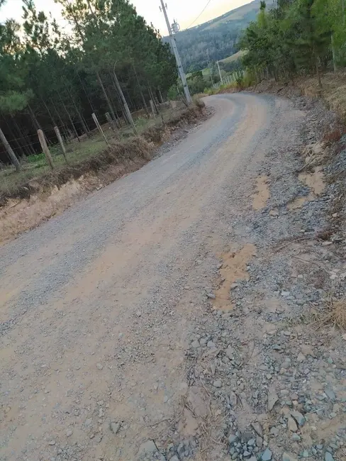 Foto 4 de Chácara com 1 quarto à venda, 10000m2 em Piedade - SP
