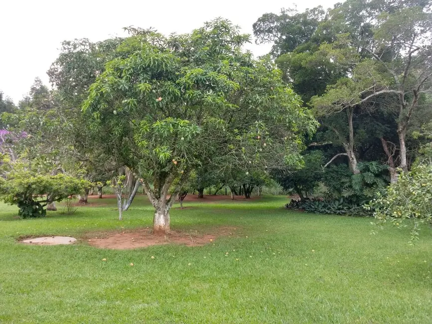 Chácara com 2 quartos à venda, 10000m2 em Alambari - SP - imagem 6 Foto 6 de Chácara com 2 quartos à venda, 10000m2 em Alambari - SP