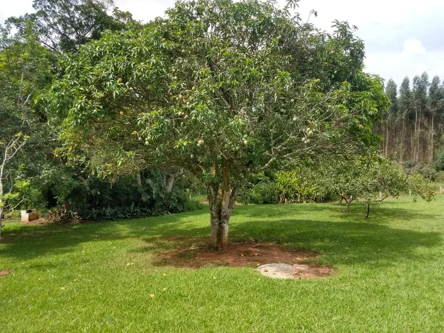 Chácara com 2 quartos à venda, 10000m2 em Alambari - SP - imagem 7 Foto 7 de Chácara com 2 quartos à venda, 10000m2 em Alambari - SP