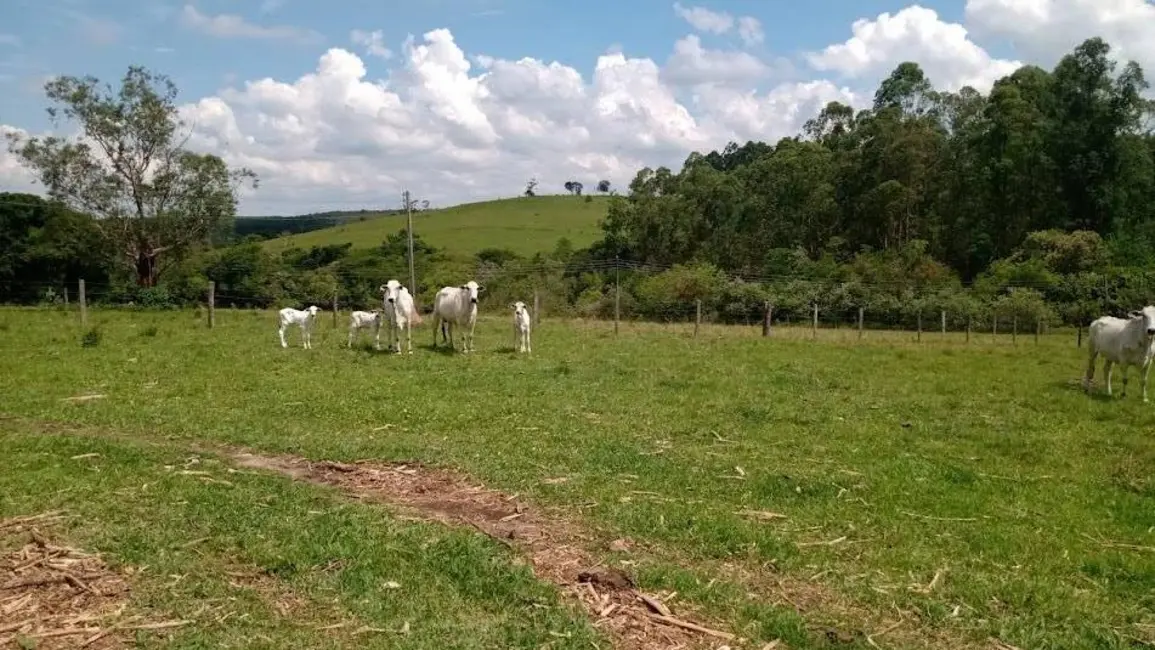 Foto 2 de Chácara com 2 quartos à venda, 166980m2 em Itapetininga - SP