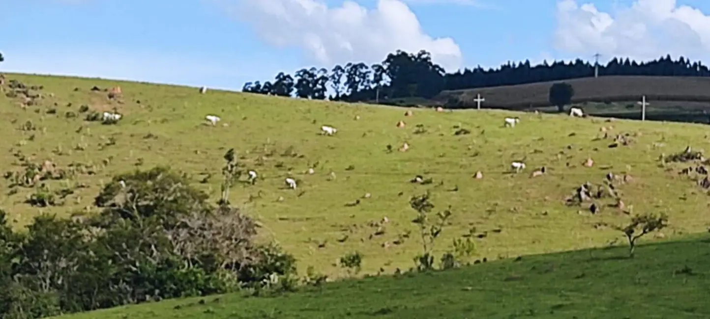 Foto 1 de Sítio / Rancho com 3 quartos à venda, 34m2 em Pilar Do Sul - SP