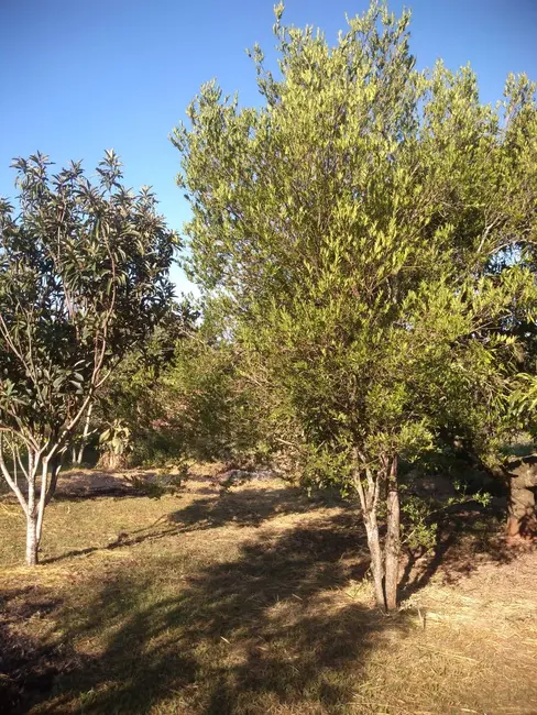Foto 5 de Chácara com 2 quartos à venda, 14000m2 em Capela Do Alto - SP