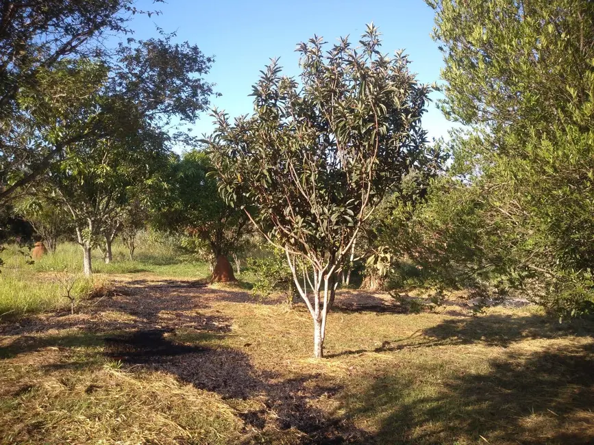 Foto 7 de Chácara com 2 quartos à venda, 14000m2 em Capela Do Alto - SP