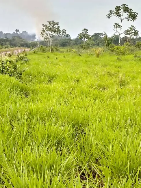 Foto 4 de Fazenda / Haras à venda, 101950m2 em Aripuana - MT
