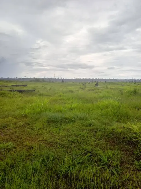 Foto 2 de Fazenda / Haras à venda, 101950m2 em Aripuana - MT