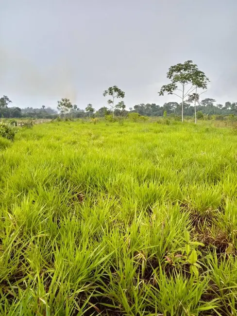 Foto 3 de Fazenda / Haras à venda, 101950m2 em Aripuana - MT