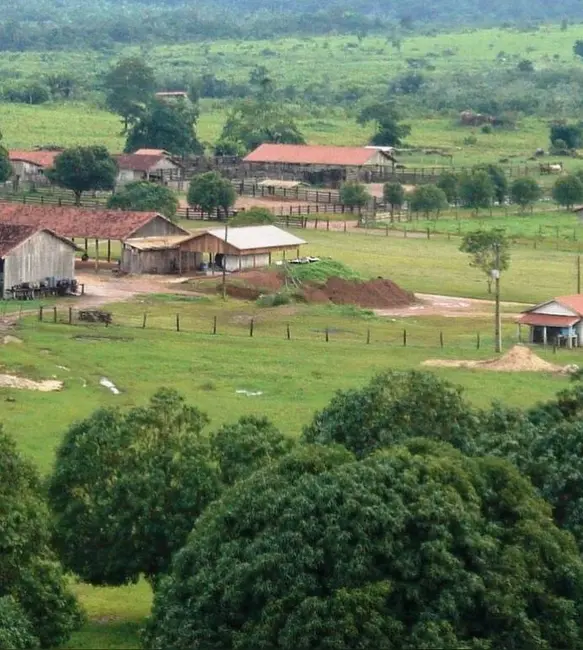 Foto 4 de Fazenda / Haras à venda, 150000m2 em Centro, Aripuana - MT