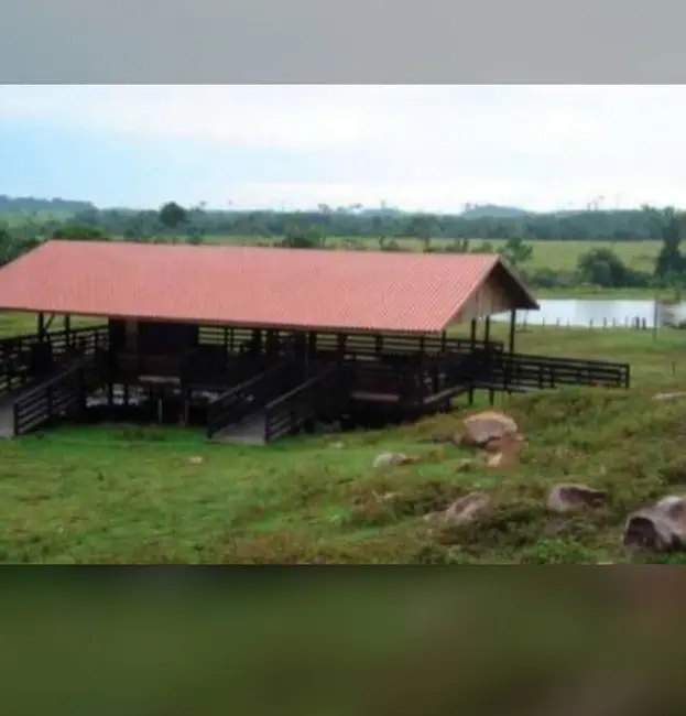 Foto 8 de Fazenda / Haras à venda, 150000m2 em Centro, Aripuana - MT