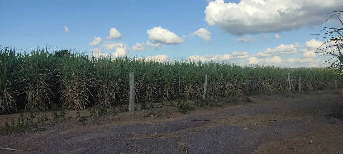 Foto 7 de Sítio / Rancho com 4 quartos à venda, 63m2 em Jardim Marabá, Itapetininga - SP