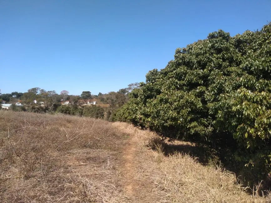 Foto 5 de Chácara com 3 quartos à venda, 77440m2 em Capela Do Alto - SP