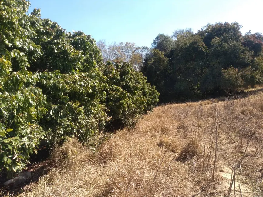 Foto 3 de Chácara com 3 quartos à venda, 77440m2 em Capela Do Alto - SP