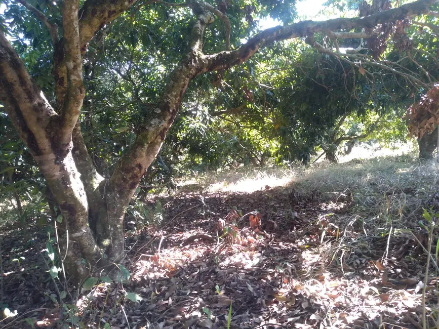 Foto 4 de Chácara com 3 quartos à venda, 77440m2 em Capela Do Alto - SP