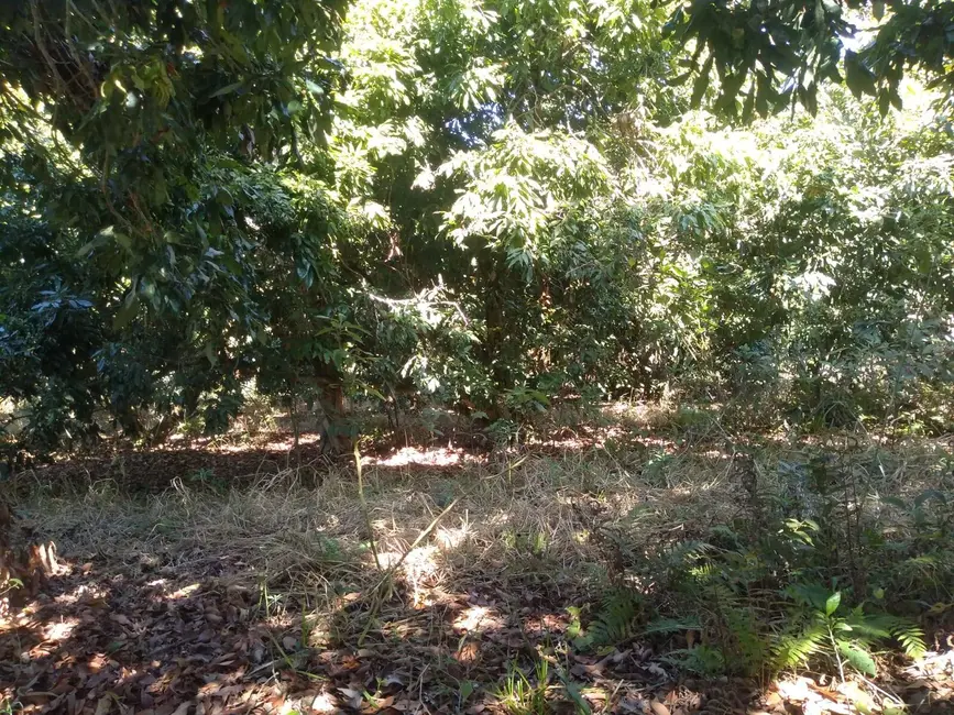 Foto 7 de Chácara com 3 quartos à venda, 77440m2 em Capela Do Alto - SP