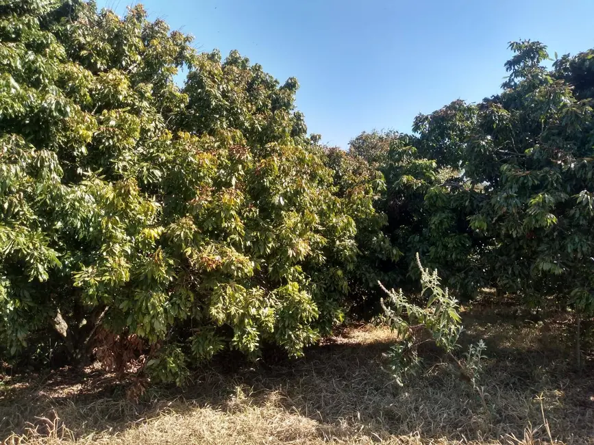 Foto 6 de Chácara com 3 quartos à venda, 77440m2 em Capela Do Alto - SP