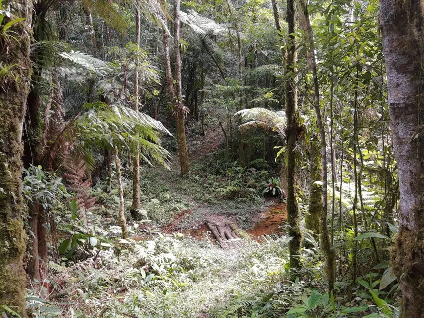 Foto 12 de Chácara à venda em Tapirai - SP