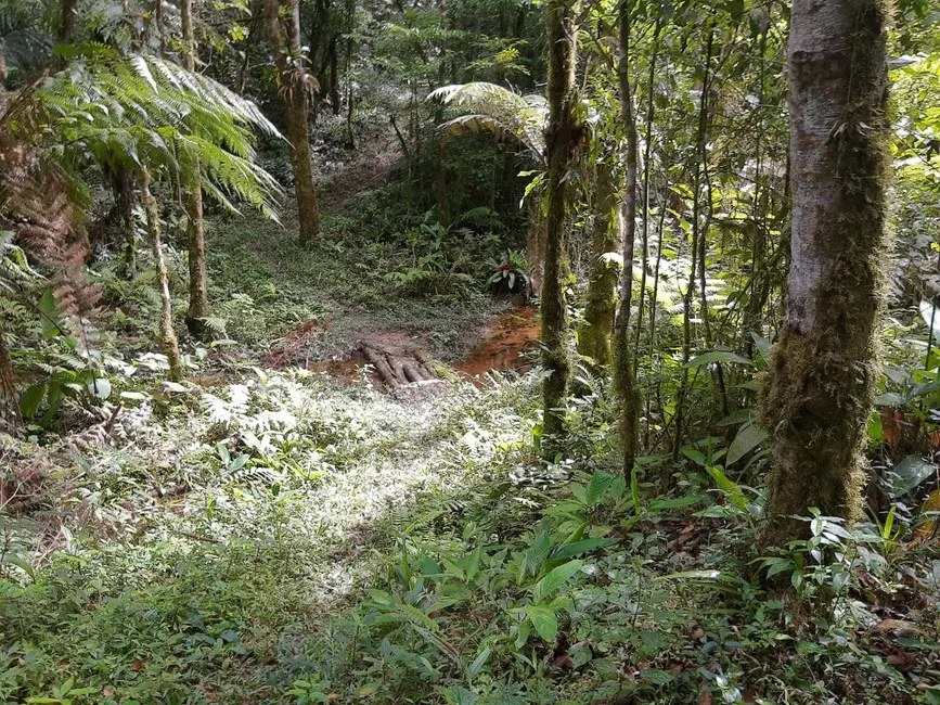 Foto 25 de Chácara à venda em Tapirai - SP