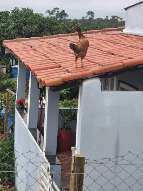 Foto 8 de Chácara com 2 quartos à venda, 1200m2 em Piedade - SP