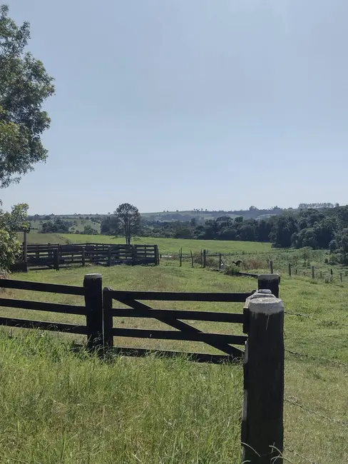 Chácara com 2 quartos à venda, 95000m2 em Alambari - SP - imagem 8 Foto 8 de Chácara com 2 quartos à venda, 95000m2 em Alambari - SP