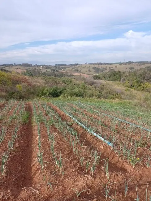 Foto 1 de Chácara à venda, 133100m2 em Piedade - SP